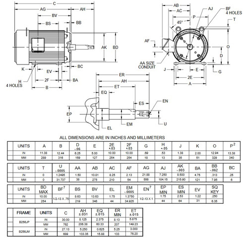 UJ20P2DP US Motors 20 hp 1800 RPM  3-phase 256JP Frame 208-230/460V Close-Coupled Pump Motor