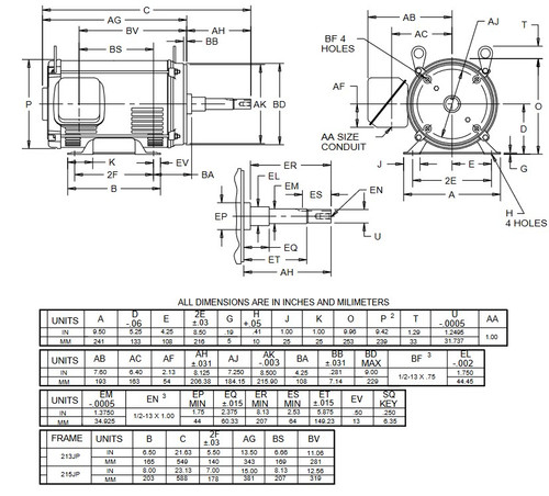 DJ15P1DP US Motors 15 hp 3600 RPM 3-phase 215JP 208-230/460V (ODP) Close-Coupled Pump Motor