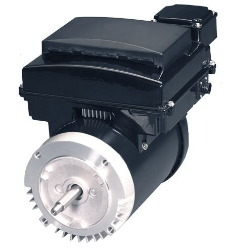 AVSJ3 | 3HP AffinityÂ® Variable Speed Swimming Pool Pump Replacement Motor - 56J Frame