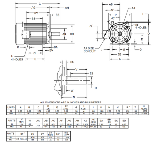 U3P1DK Nidec 3 hp 3600 RPM 182TCH Frame 208-230/460V TEFC 3-Phase 50-60 Hz Electric Motor