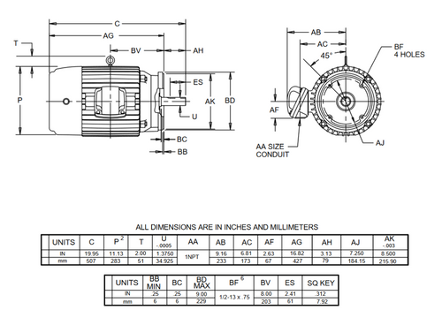 X10P2BCR Nidec 10 hp 1800 RPM 215TC Frame 60 Hz 230/460V TEFC 3-Phase Hazardous Duty Motor