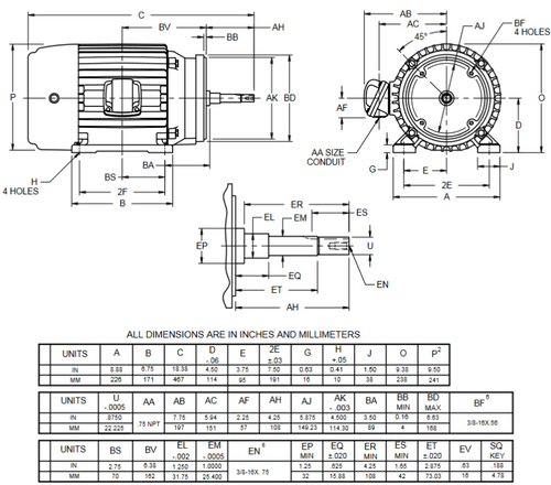 XJ3P1BM Nidec 3 hp 3600 RPM 182JM Frame 60 Hz 230/460V TEFC 3-Phase Hazardous Duty Motor