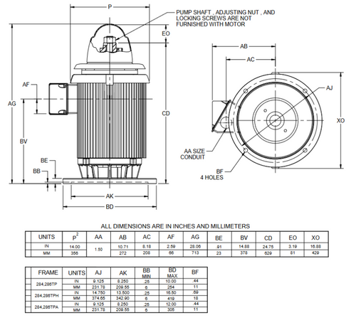 HO20P3BLG Nidec 20 hp 1200 RPM 230/460V 3-phase 286TPH Frame Vertical Holloshaft Motor