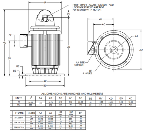 HO30V2BLF Nidec 30 hp 1800 RPM 230/460V 3-phase 286TPA Frame Inverter-Duty Vertical Holloshaft Motor