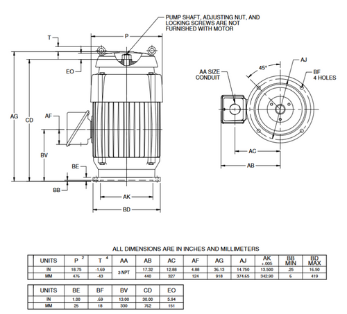 CHT75V2CLG Nidec 75 hp 1800 RPM 460V 3-phase 365TP Frame TEFC Holloshaft CORRO-DUTY Motor