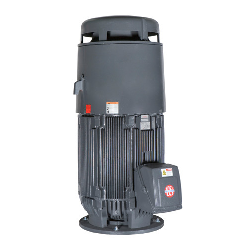 NO40P2BG Nidec 40 hp WPI 1800 RPM 230/460V 3-phase 324VP Frame TEFC Vertical Solid Shaft Motor