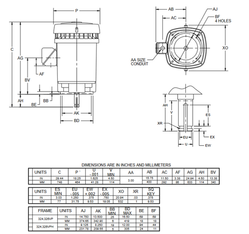 NO40P2BG Nidec 40 hp WPI 1800 RPM 230/460V 3-phase 324VP Frame TEFC Vertical Solid Shaft Motor
