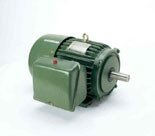 S0024 TECO-Westinghouse 2 HP 1800 RPM 182T Frame 115/230V TEFC Cast Iron 1-Ph Motor
