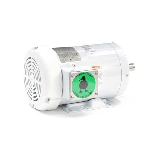 121866.00 Leeson |  2 hp 1800 RPM 145T Frame 230/460V Wash Down Duty