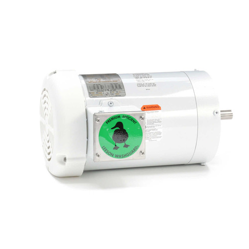 119472.00 Leeson |  2 hp 3600 RPM 56C Frame TEFC (no base) C-Face 208-230/460V Wash Down Duty