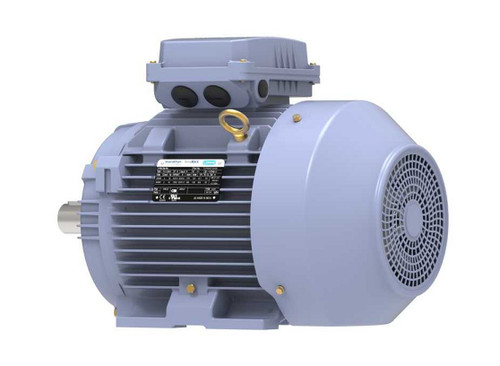 R328A Marathon 7.5 hp 5.5 kw 1800 RPM 132S Frame 230/460V Marathon Electric Metric Motor
