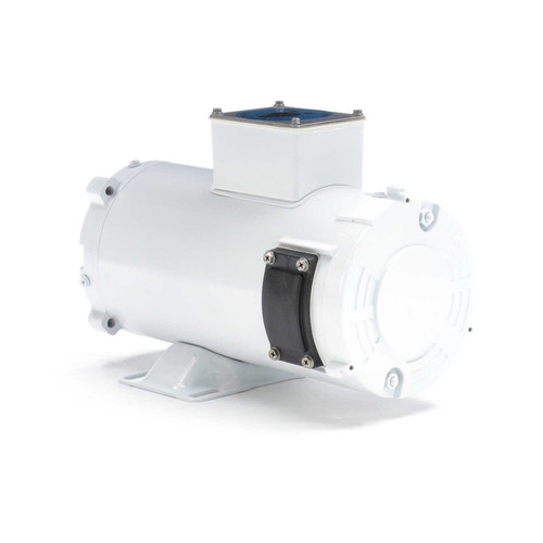 108226.00 Leeson |  1/2 hp 1800 RPM 56C TENV Frame 90 volts DC Wash Down Duty