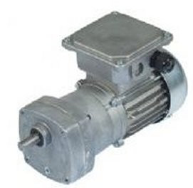 Bison 017-175-0013 Gear Motor 1/12 hp 122 RPM 230/460V 60/50HZ.