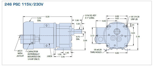 Bison 016-246-4015 Gear Motor 1/4 hp 113 RPM 115/230V 60/50 HZ.