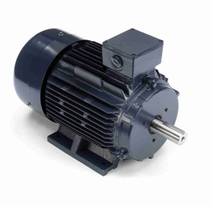 R338M2 CENTURY POOL PUMP MOTOR 10 HP