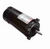 T1152 Century 1-1/2 hp 3600 RPM 1-Phase 56J Frame ODP (no base) 115/230V Century Jet Pump Motor # T1152