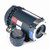 116613.00 Leeson 1 hp 3600 RPM 115/208-230V 56C Frame Explosion-Proof C-Face (Rigid Base) 1-Phase Motor