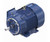 GT3237A Marathon 50 hp 1800 RPM 575V 326JM Frame (Rigid Base) TEFC 3-Phase Close-Coupled Pump Motor