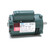 E100018.00 Leeson |  1/3 hp 1800 RPM 56C Frame ODP C-Face (no base) 115/230V