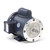 121680.00 Leeson |  1 hp 1800 RPM 143TC Frame TEFC C-Face- Rigid Base 115/208-230V