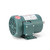 103020.00 Leeson |  1/2 hp 1725 RPM 56 Frame 208-230/460 Volts TEFC