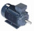 R333B Marathon 15 hp 11 kw 3600 RPM 160M Frame 230/460V Marathon Electric Metric Motor