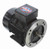 192035.00 Leeson |  1/2 hp 0.37 kw 1800 RPM D71D Frame 230/460V  Electric Metric Motor