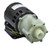 AC-2CP-MD March Pump | 230V, 3/8" FPT Inlet - 1/4" MPT Outlet