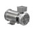 109069.00 Leeson |  1/2 hp 1750 RPM 56C With Base 90 VDC TEFC  Stainless Steel