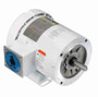 112429.00 Leeson |  1/2 hp 1800 RPM 56C Frame TENV 208-230/460V Wash Down Duty