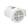 116645.00 Leeson |  3/4 hp 1800 RPM 56C Frame TEFC (no base) C-Face 208-230/460V Wash Down Duty