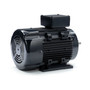 R321A Marathon 3 hp 2.2 kw 3600 RPM 90L Frame 230/460V Marathon Electric Metric Motor