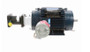 Y978 Marathon 1 hp 1800 RPM 3-Phase 143TC Frame TENV (rigid base) 230/460V Marathon Motor