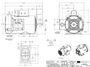 C620V1 Century 1 hp 1800 RPM 1-Phase 56 Frame TEFC (rigid base) 115/208-230V