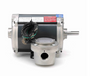 G646 Marathon 1/4 hp 1800 RPM 3-Phase 56 Frame TENV (rigid base) 208-230/460V Marathon Motor