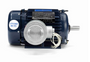 U003A Marathon 2 hp 1800 RPM 3-Phase 145T Frame TEFC (rigid base) 230/460V Marathon Motor