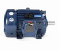 E506A-P Marathon 20 hp 1800 RPM 3-Phase 256T Frame TEFC (rigid base) 230/460V Marathon Motor