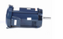 E183A  Marathon 15 hp 3600 RPM 3 phase 215JMV Frame (No Base) ODP 230/460V Close Coupled Pump Motor