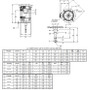 DJ15P1DU US Motors 15 hp 3600 RPM  3-phase 215JM Footless 208-230/460V (ODP) Close-Coupled Pump Motor