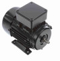 R303 Marathon | 1/3 hp 0.25 kW 230/460V 3600 RPM 3-Phase 63 Frame TEFC (rigid base) Motor