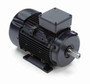 R319A Marathon | 2 hp 1.5 kW 230/460V 1800 RPM 3-Phase 90S Frame TEFC (rigid base) Motor