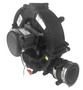 Fasco A235 OEM York Draft Inducer (1183211, 5445639, 341449, 70582743, 70581023)
