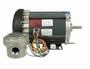 G654A Marathon 1/2 hp 1800 RPM 115/208-230V Explosion Proof 56 Frame EPFC (rigid base) Motor