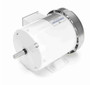 N320 Marathon 3/4 hp 1800 RPM 208-230/460V 3-Phase 56 Frame TEFC (rigid base) Washdown Motor