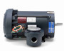 116607.00 Leeson 1/3 hp 1200 RPM 115/208-230V 56C Frame Explosion-Proof C-Face (Rigid Base) 1-Phase Motor