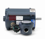 111933.00 Leeson 1/2 hp 3600 RPM 208-230/460V 56C Frame Explosion-Proof (No Base) 3-Phase Motor