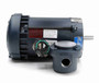 111936.00 Leeson 3/4 hp 3600 RPM 208-230/460V 56C Frame Explosion-Proof (No Base) 3-Phase Motor