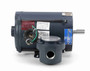 114626.00 Leeson 1/3 hp 1800 RPM 208-230/460V 56C Frame Explosion-Proof (Rigid Base) 3-Phase Motor