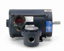 114628.00 Leeson 1/2 hp 1800 RPM 208-230/460V 56C Frame Explosion-Proof (Rigid Base) 3-Phase Motor