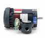 116191.00 Leeson 3/4 hp 1800 RPM 208-230/460V 56C Frame TEFC Explosion-Proof (Rigid Base) 3-Phase Motor